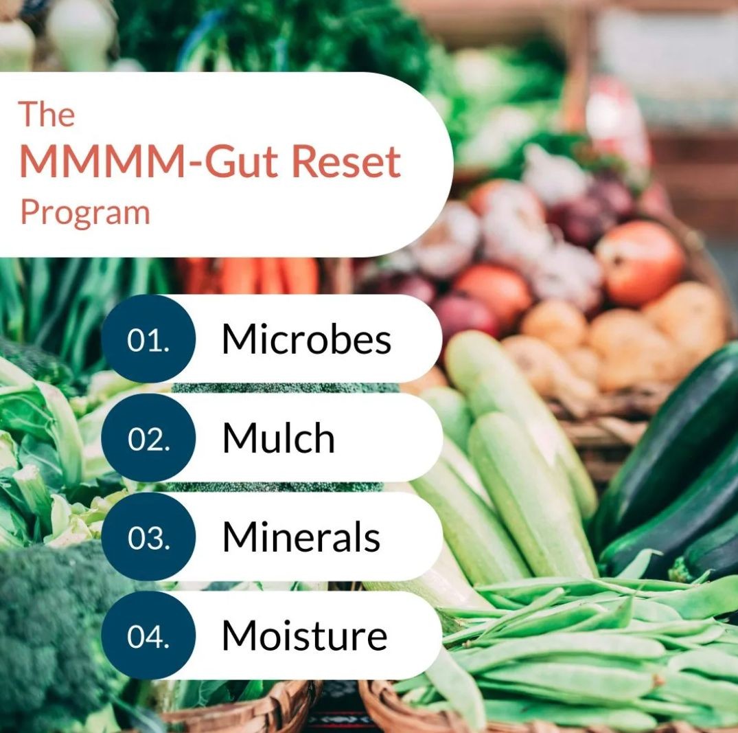 The MMMM-Gut Reset Program