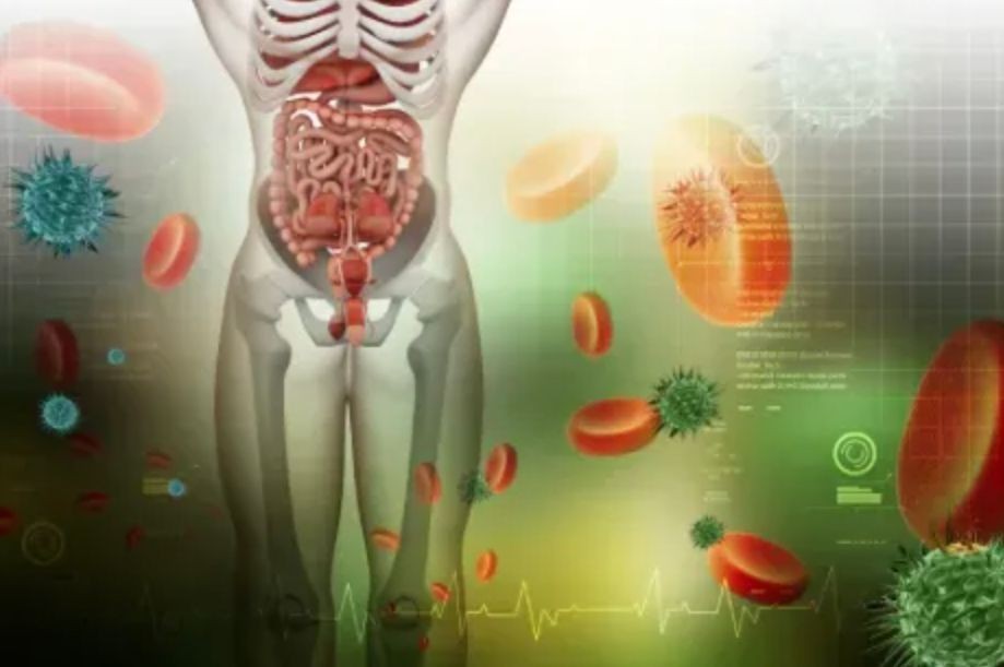 Systemic Ultra System Detox